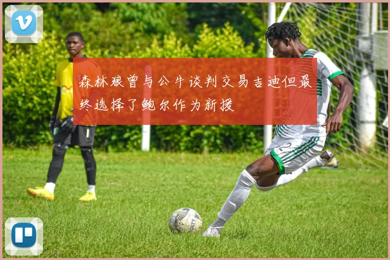 森林狼曾与公牛谈判交易吉迪但最终选择了鲍尔作为新援