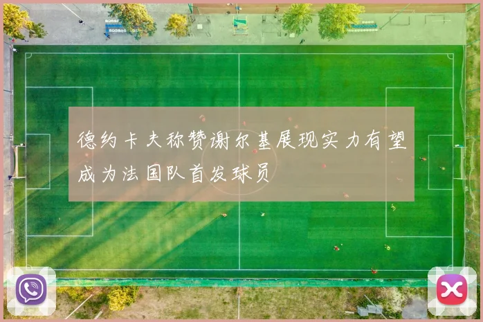 德约卡夫称赞谢尔基展现实力有望成为法国队首发球员