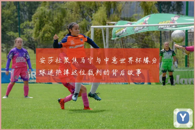 安莎社聚焦马宁与中意世界杯缘分球迷热捧这位裁判的背后故事